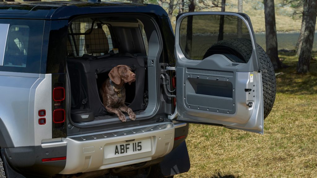 Land Rover Yogi 3d patousa