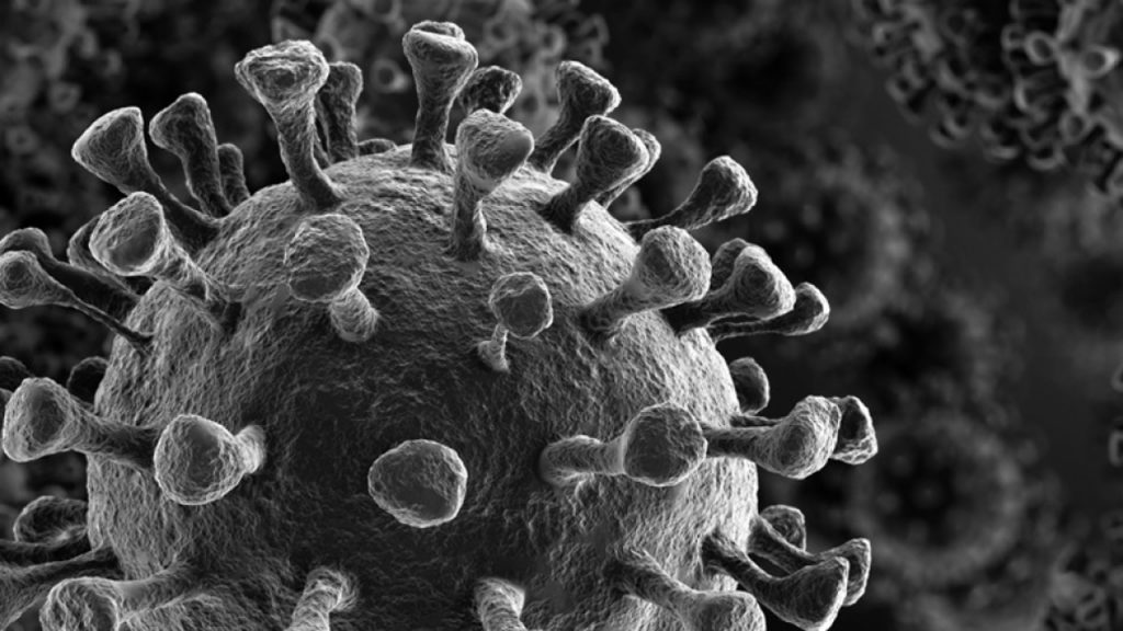 ACEM COVID-19 κορωνοϊός