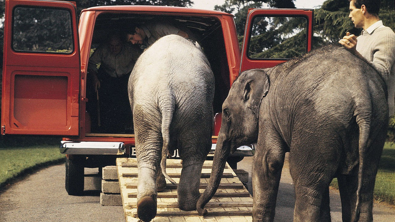 Ford Transit 60 χρόνια