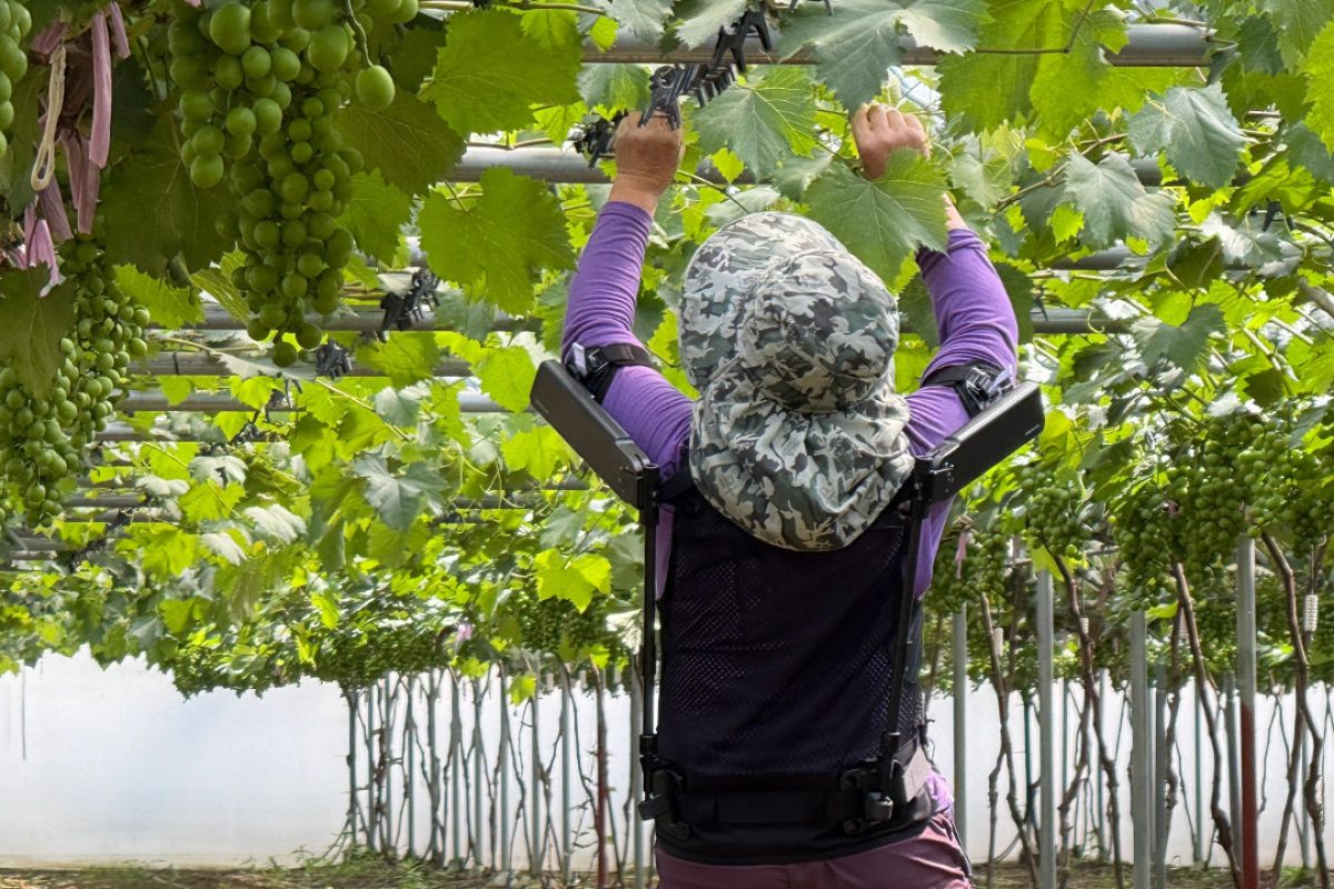 Ρομποτικό γιλέκο Hyundai για αγρότες