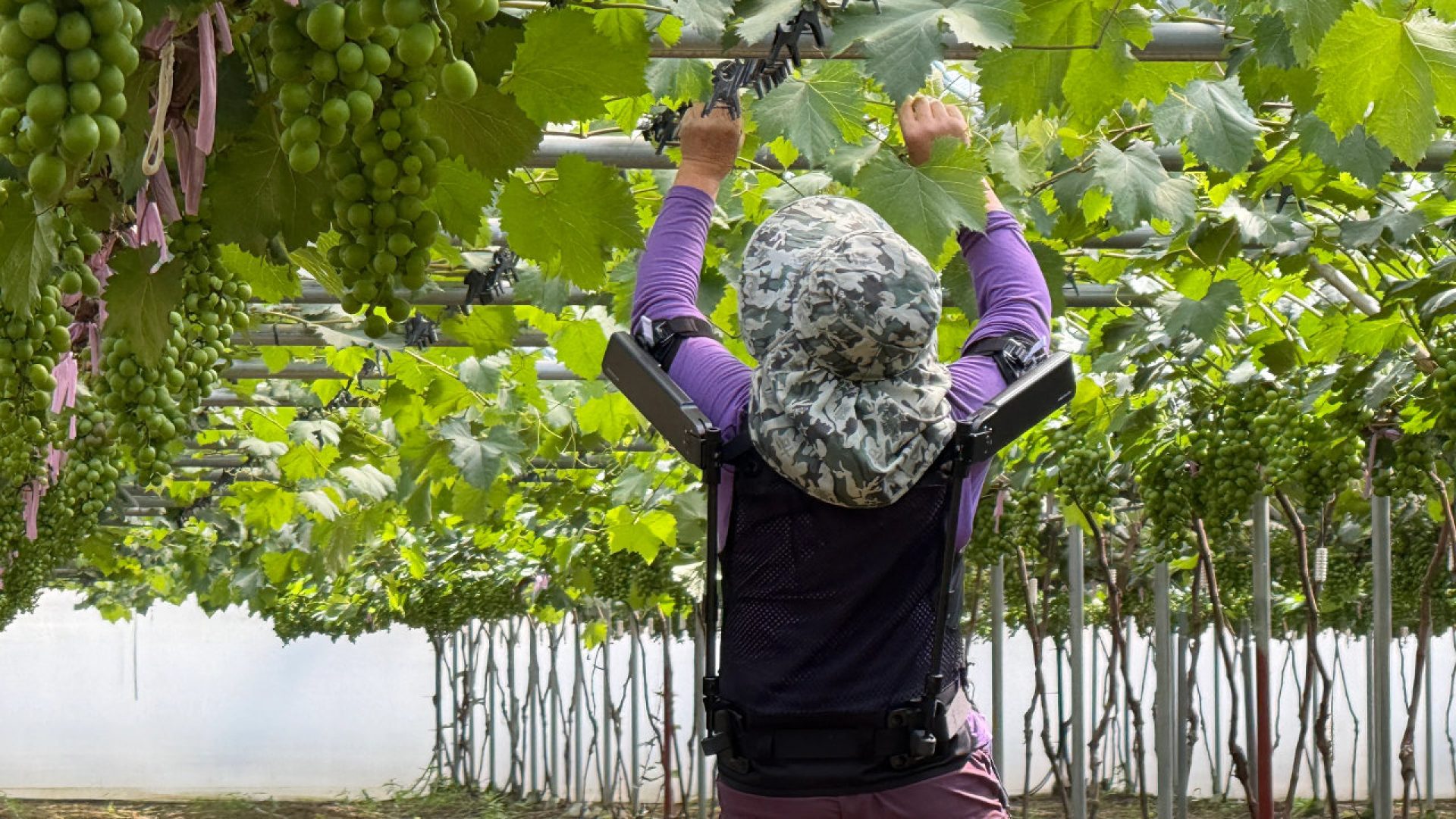 Ρομποτικό γιλέκο Hyundai για αγρότες