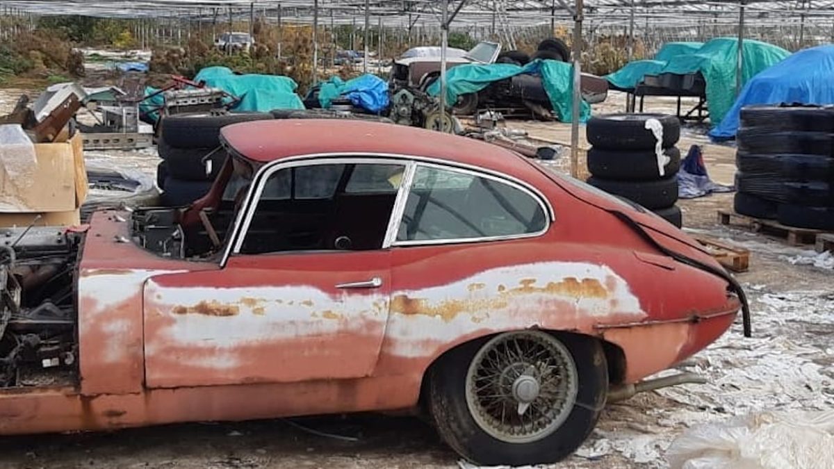 Jaguar θερμοκήπιο