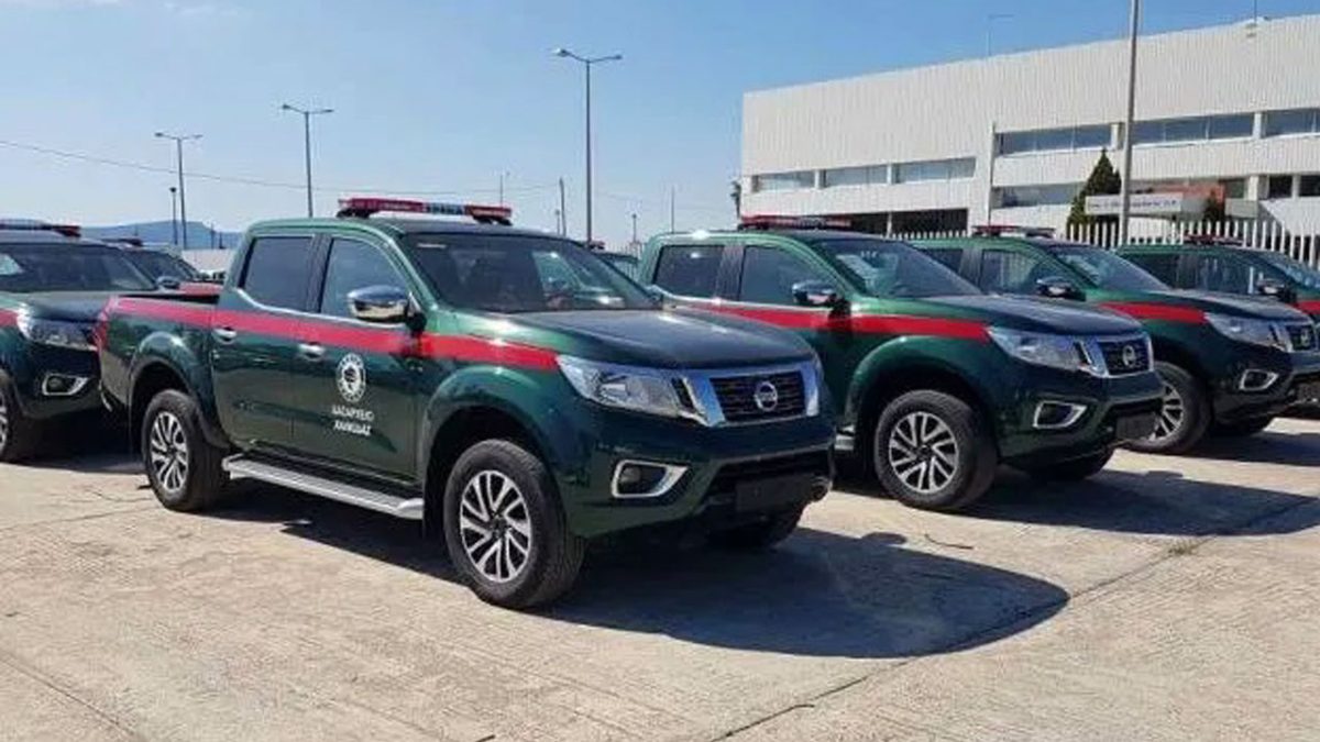 προστασία δασών