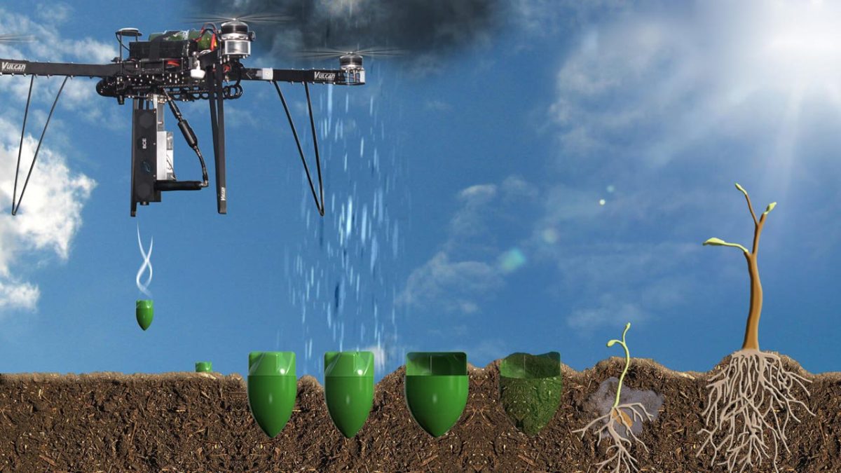 Δενδροφύτευση