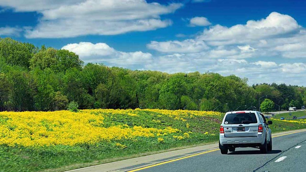 odikiasfalia_aniksi_2