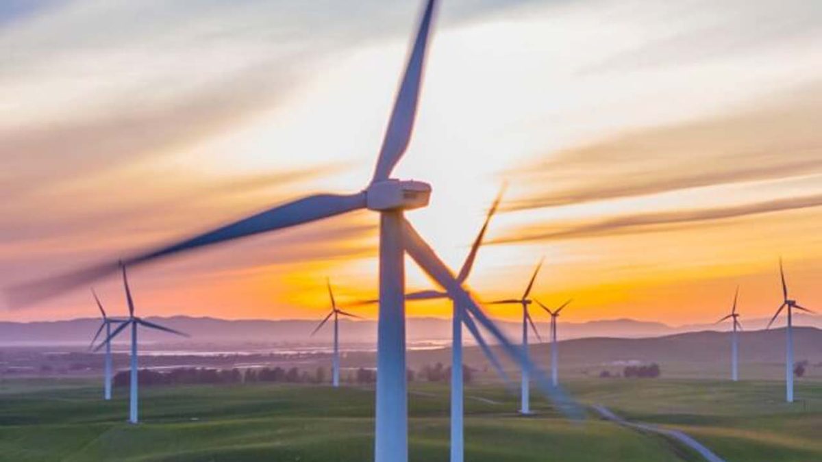 windenergie-vegan-mobile